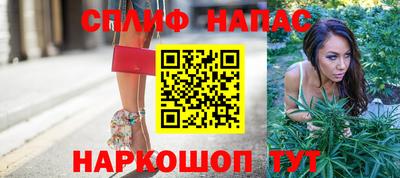 шишки Жуковский
